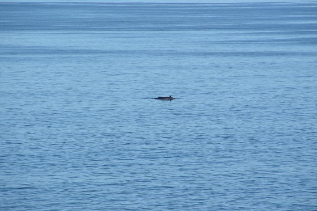 Willa Sea Star Cliff Gansbaai Zewnętrze zdjęcie