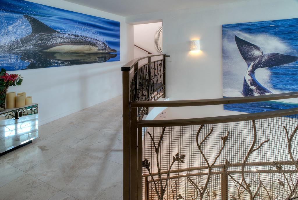 Willa Sea Star Cliff Gansbaai Zewnętrze zdjęcie
